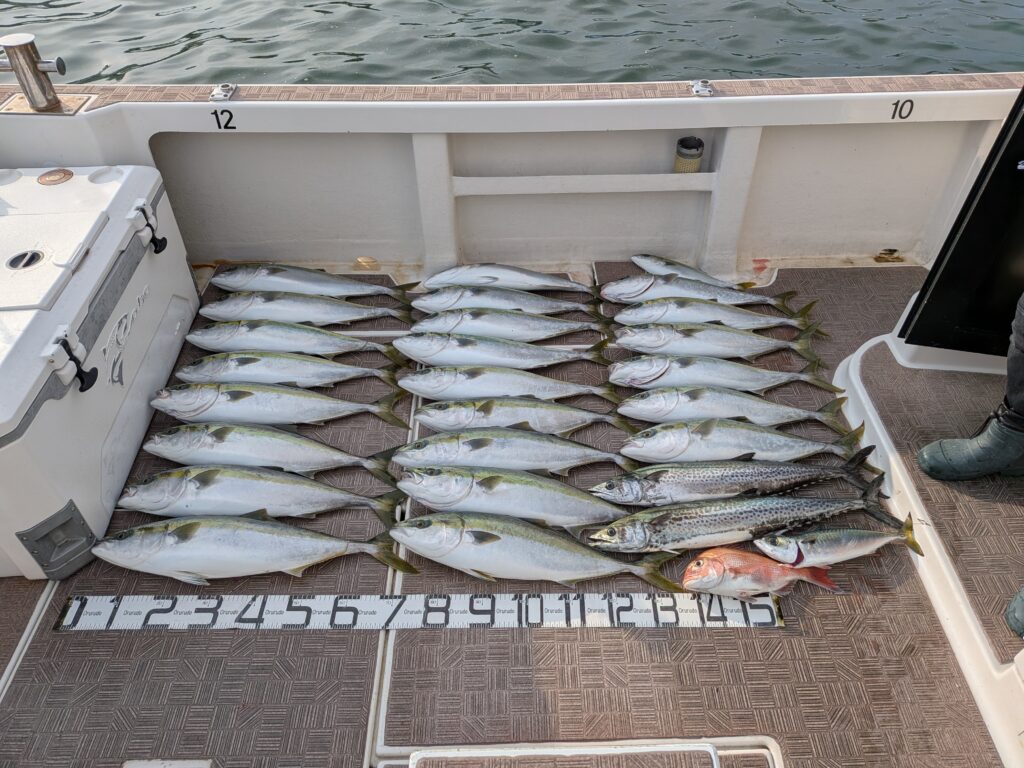 Today's catch